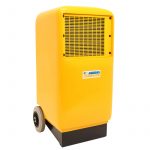 fd40_px800.jpg